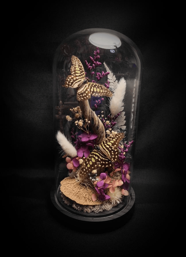 Diorama Duo de Graphium