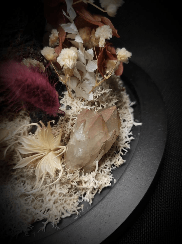 Diorama Papillon "Actias rhodopneuma"