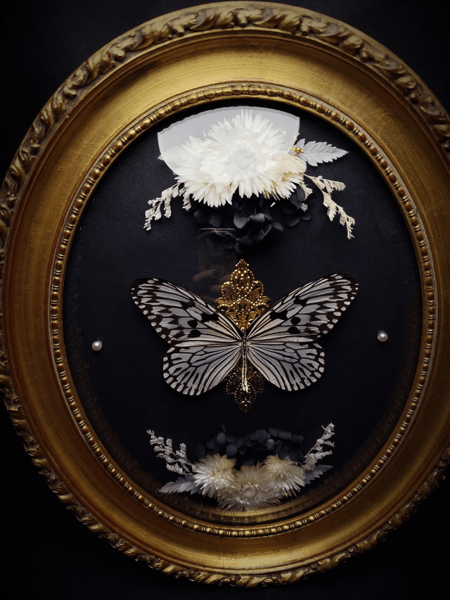 Cadre Vintage Papillon "Idea Idea"