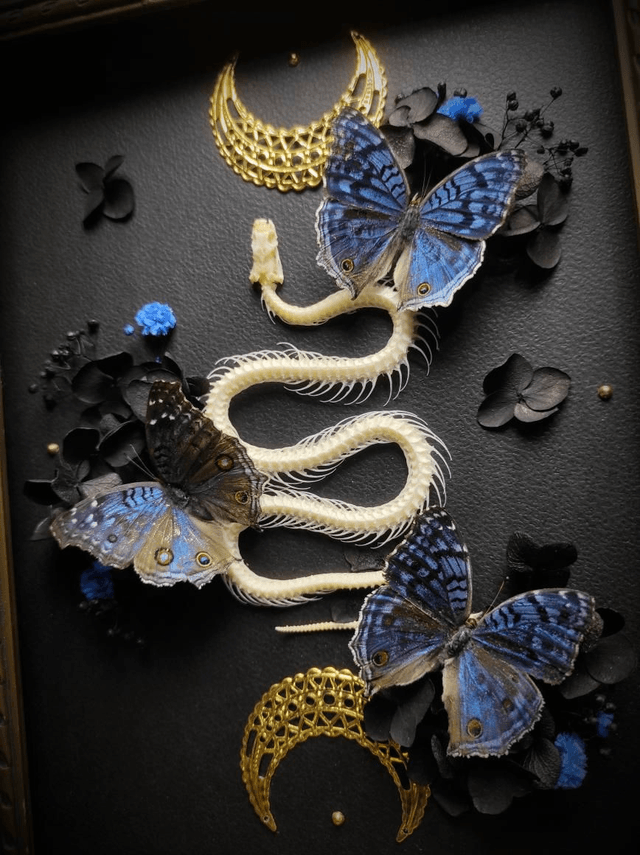 Cadre Vintage Serpent & Papillons Precis Rhadama 
