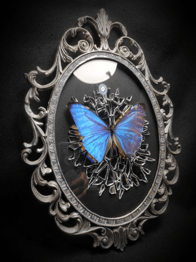 Cadre Vintage Morpho Miroir Brisé 