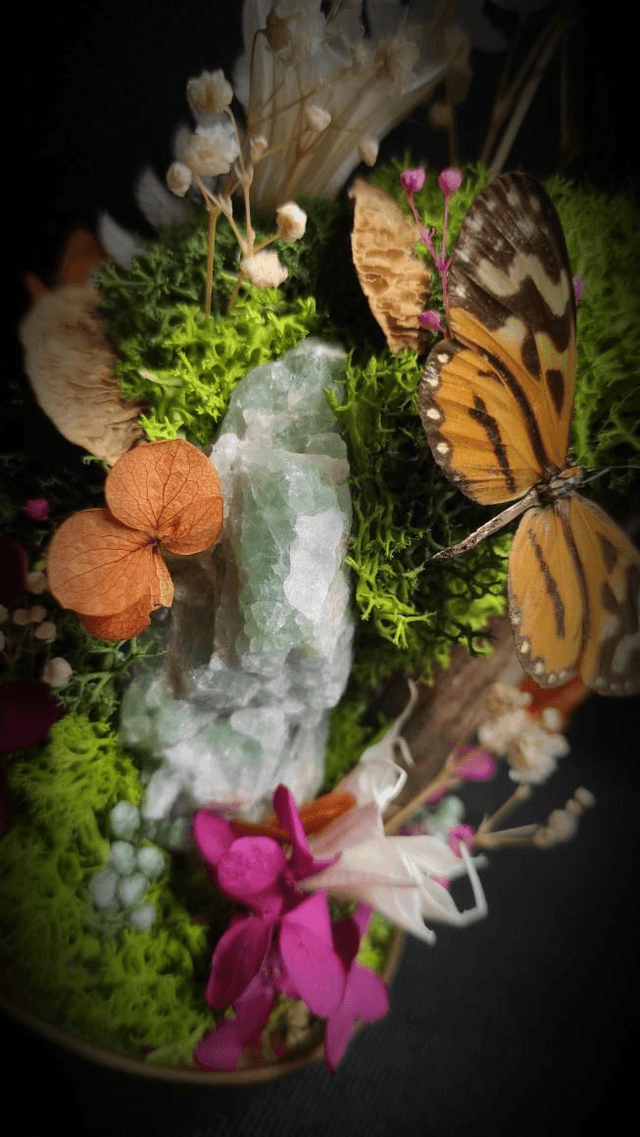 Diorama Duo de Papillons & Fluorine 