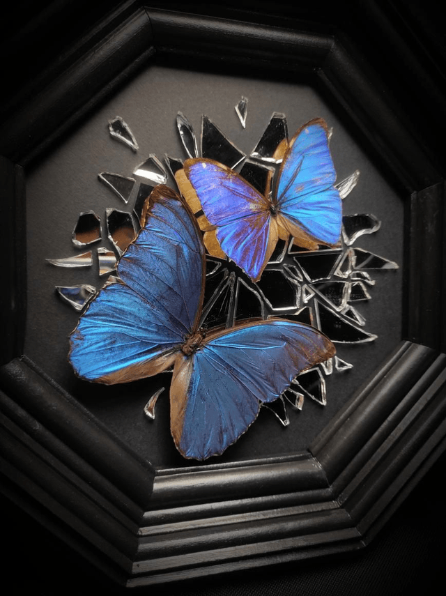 Cadre Miroir brisé Duo de Morpho 
