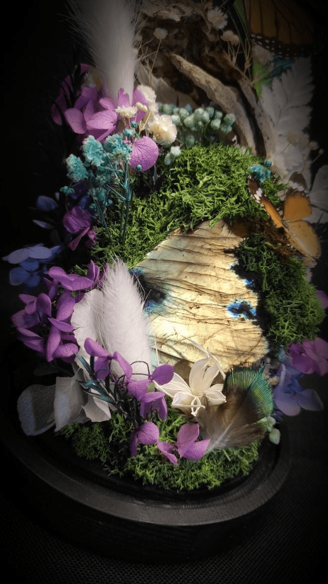 Diorama Duo de Papillons Danaus et Labradorite 