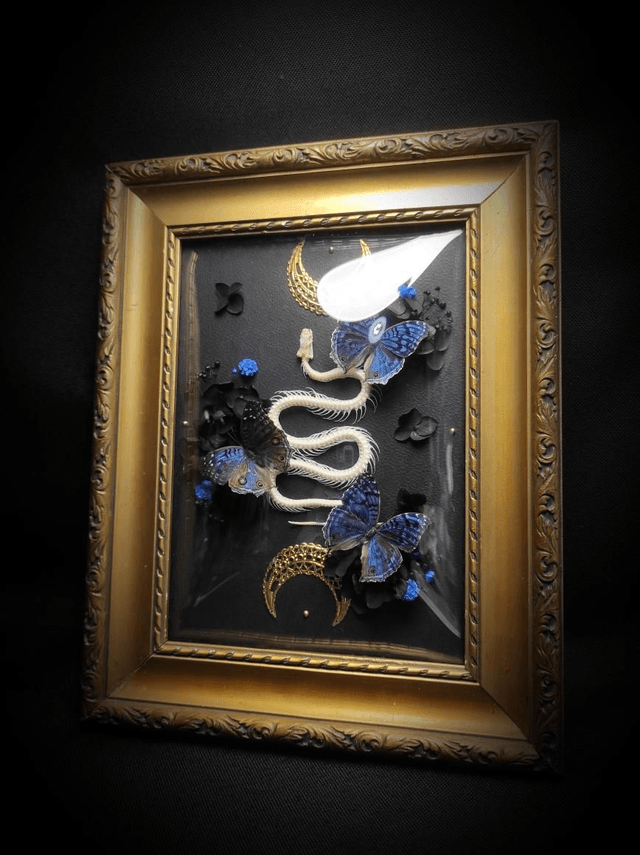Cadre Vintage Serpent & Papillons Precis Rhadama 