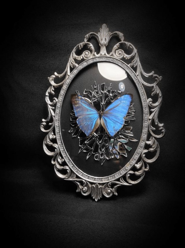 Cadre Vintage Morpho Miroir Brisé 