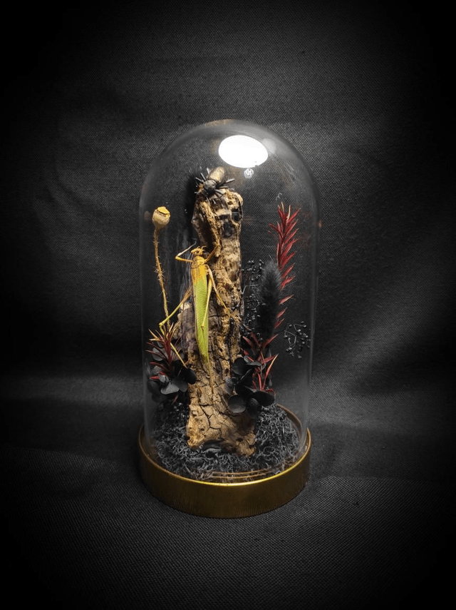 Diorama Duo d'insectes 