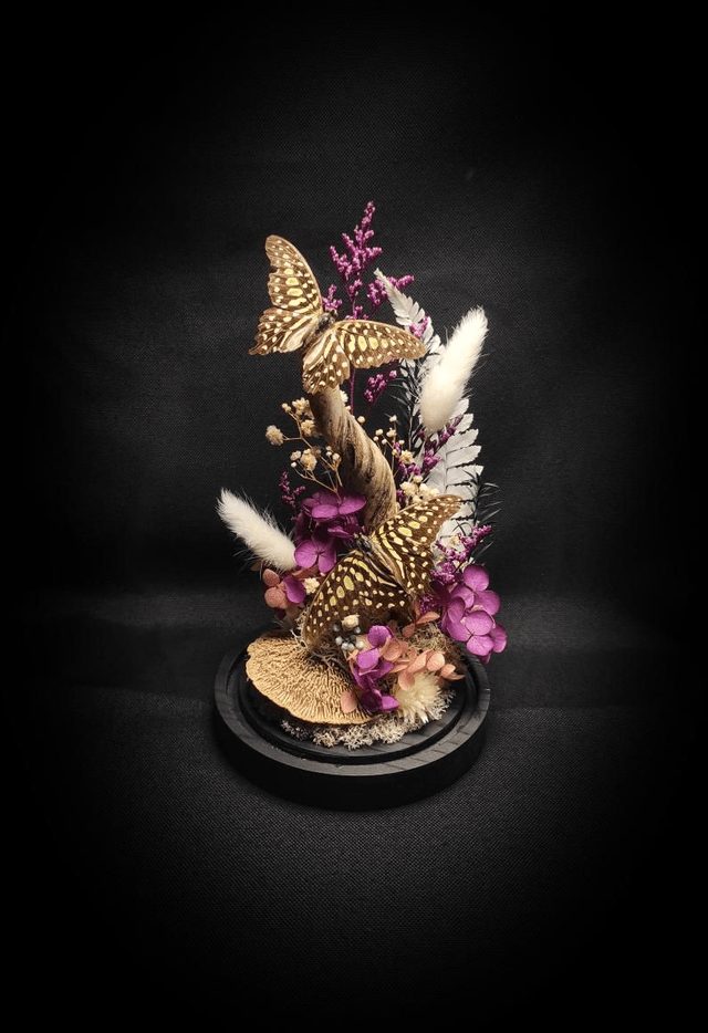 Diorama Duo de Graphium
