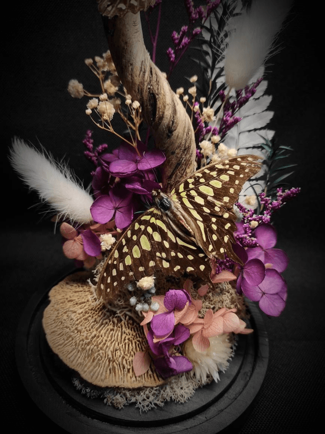 Diorama Duo de Graphium