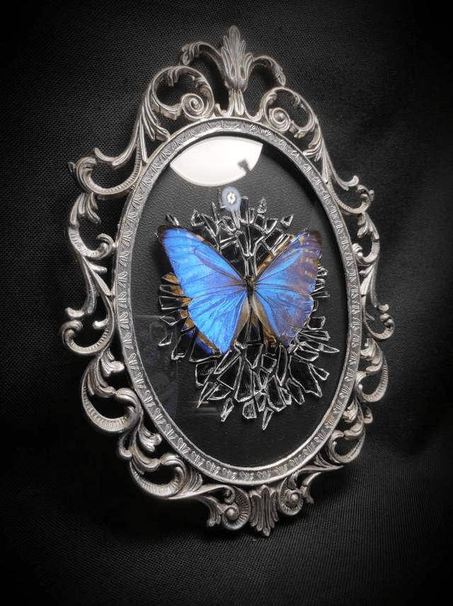 Cadre Vintage Morpho Miroir Brisé 