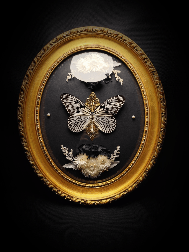 Cadre Vintage Papillon "Idea Idea"