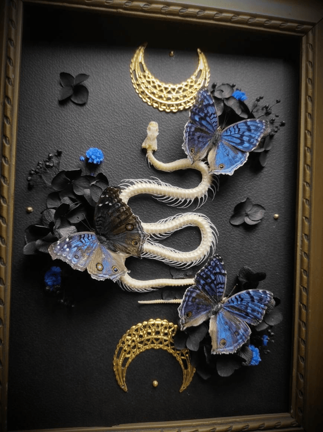 Cadre Vintage Serpent & Papillons Precis Rhadama 