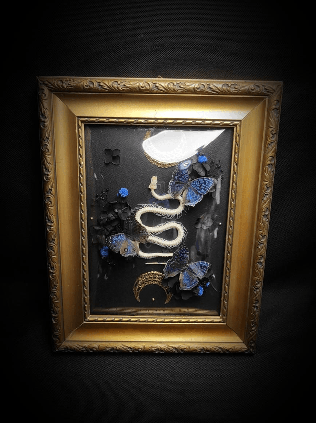 Cadre Vintage Serpent & Papillons Precis Rhadama 