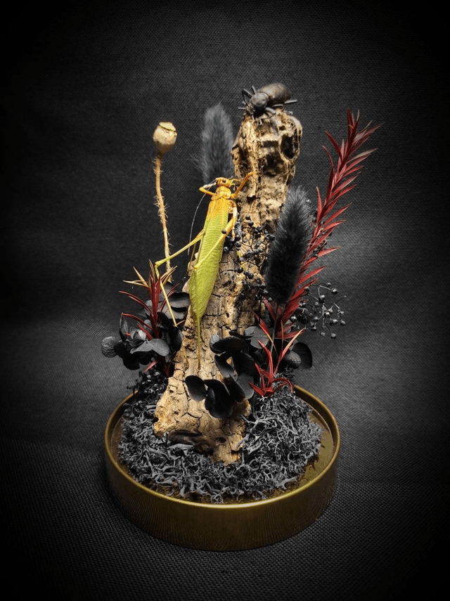 Diorama Duo d'insectes 