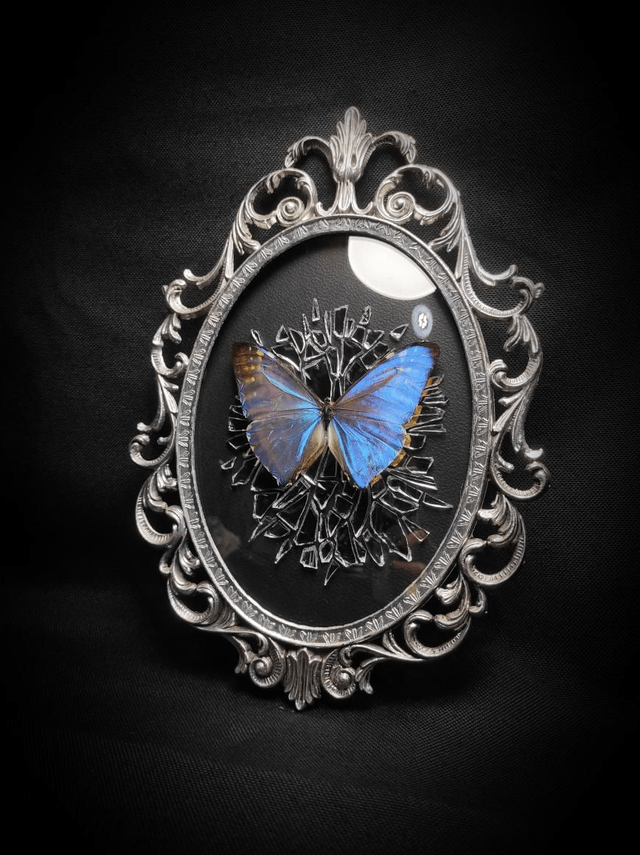 Cadre Vintage Morpho Miroir Brisé 
