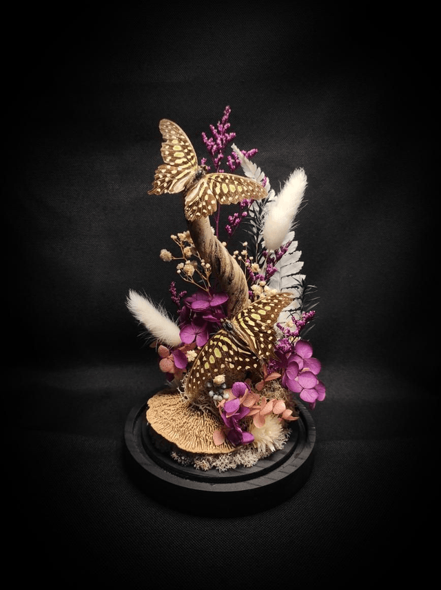 Diorama Duo de Graphium