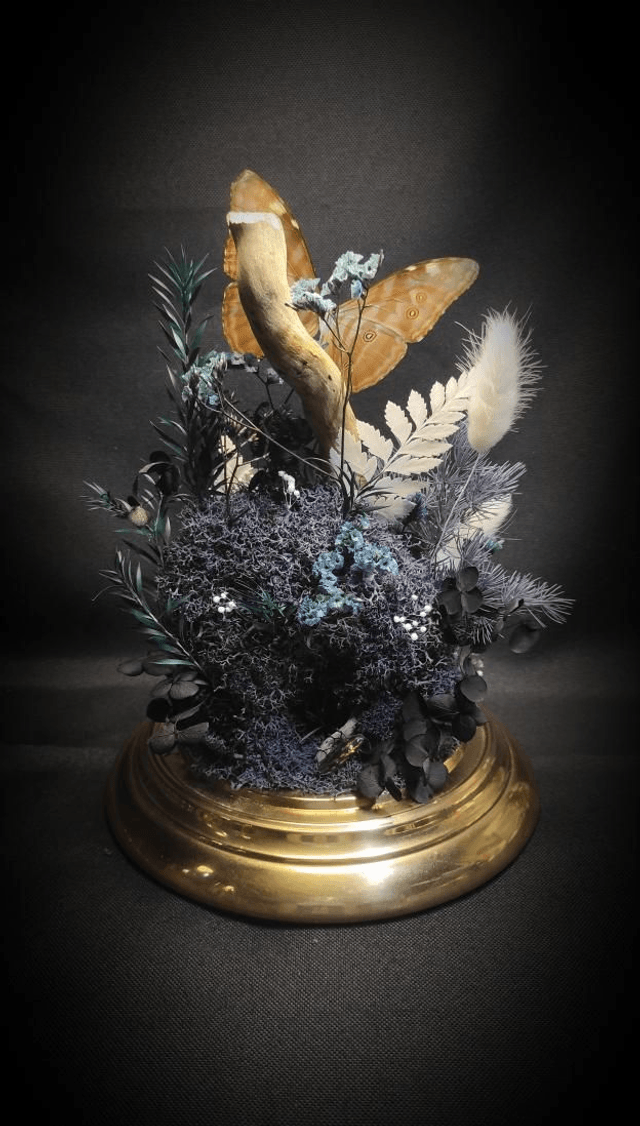 Diorama Duo de Morpho et le Buprestidae