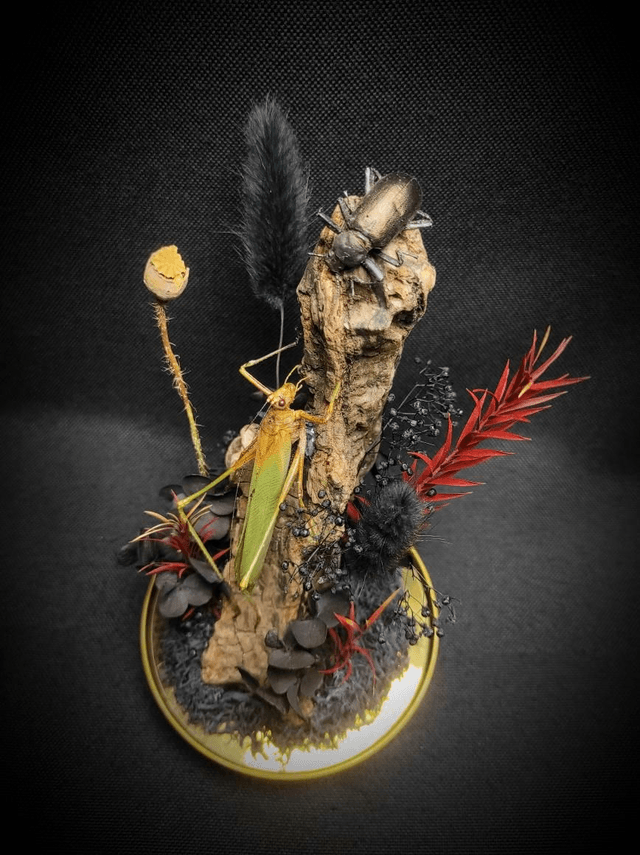 Diorama Duo d'insectes 