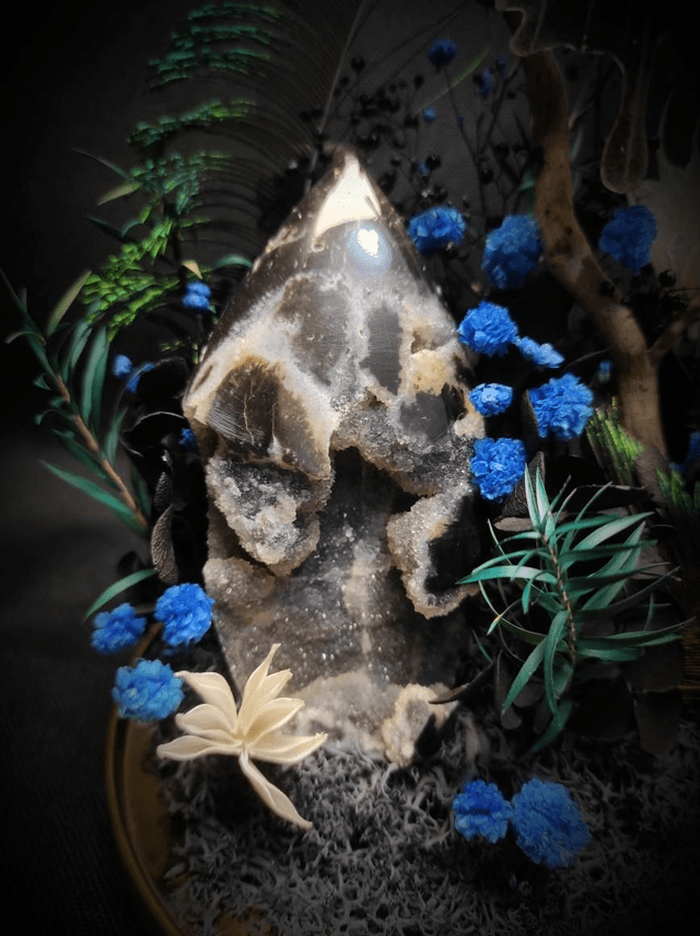 Diorama Papillon "Papilio Ulysses"