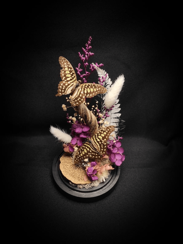 Diorama Duo de Graphium