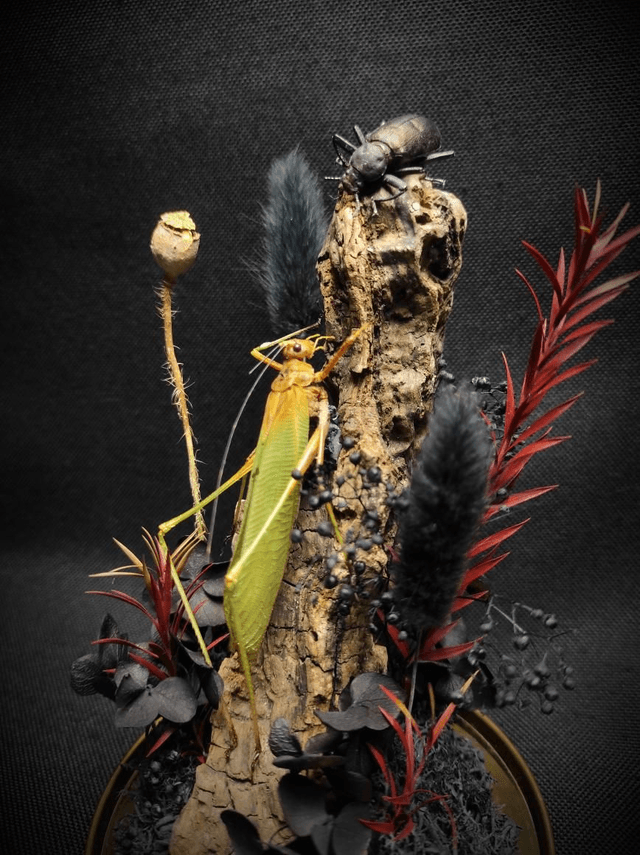 Diorama Duo d'insectes 