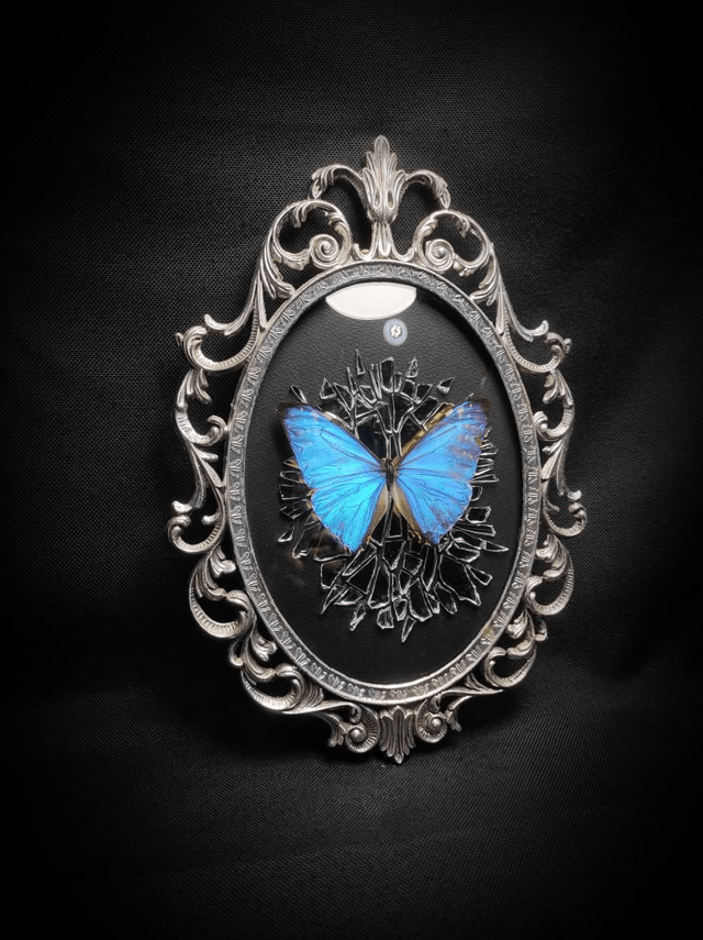 Cadre Vintage Morpho Miroir Brisé 