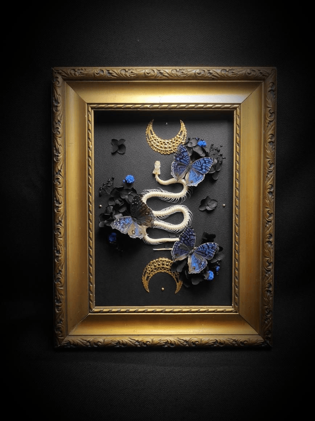 Cadre Vintage Serpent & Papillons Precis Rhadama 