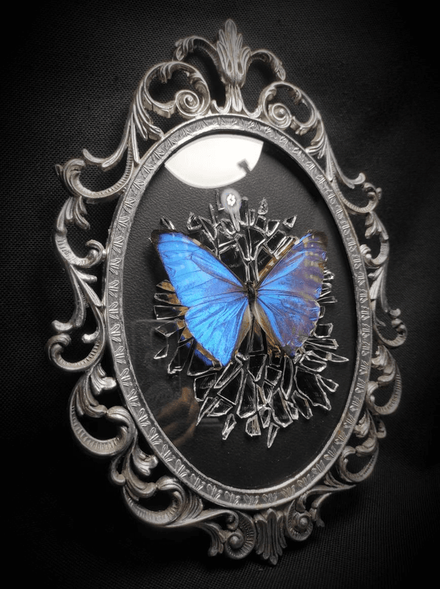 Cadre Vintage Morpho Miroir Brisé 