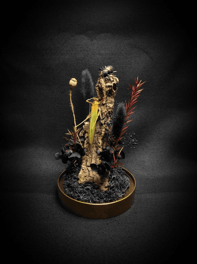 Diorama Duo d&#039;insectes 