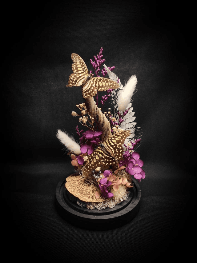 Diorama Duo de Graphium